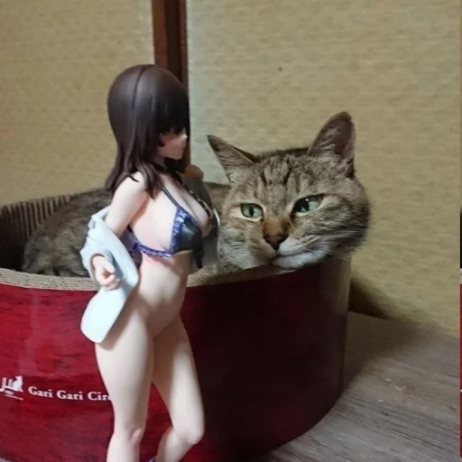 животное млекопитающее кошки малого и среднего размера