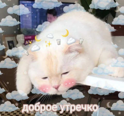 животное млекопитающее кошки малого и среднего размера