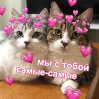 Sticker Больше стикеров тут: @stickers_memy - 5