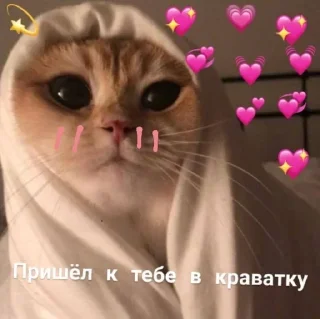 Sticker Больше стикеров тут: @stickers_memy - 1