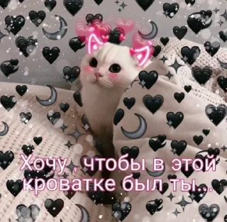 Sticker Больше стикеров тут: @stickers_memy - 8