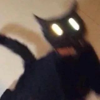 Стикер Котики - 11