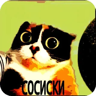 кошки малого и среднего размера животное млекопитающее