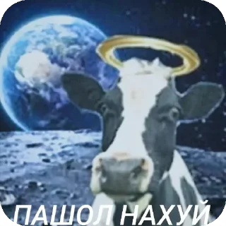 скот животное млекопитающее