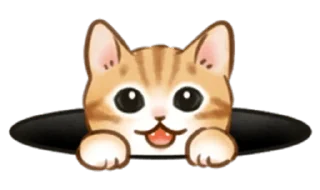 Стикер cute kitties | @cutestickers4you - 8