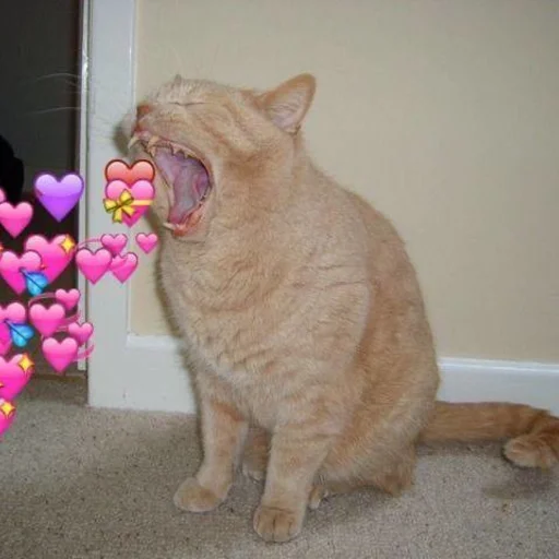 животное млекопитающее кошка