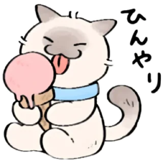 Стикер cute kitty . . 🤍 @Kenai_1 - 7