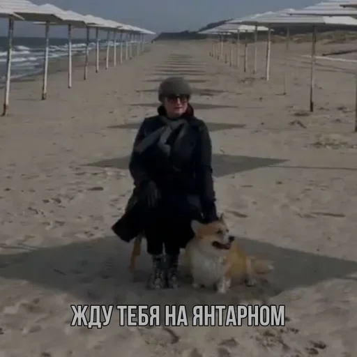 на открытом воздухе земля пляж