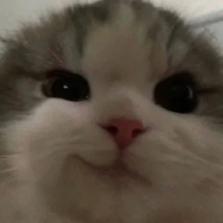 Sticker loveyou<3 - 3