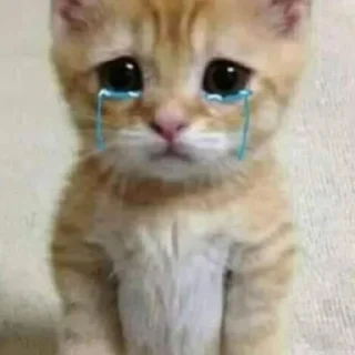 Sticker loveyou<3 - 7