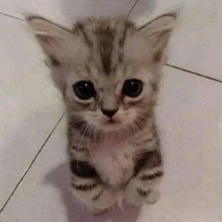 Sticker loveyou<3 - 10