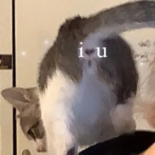 Sticker loveyou<3 - 0