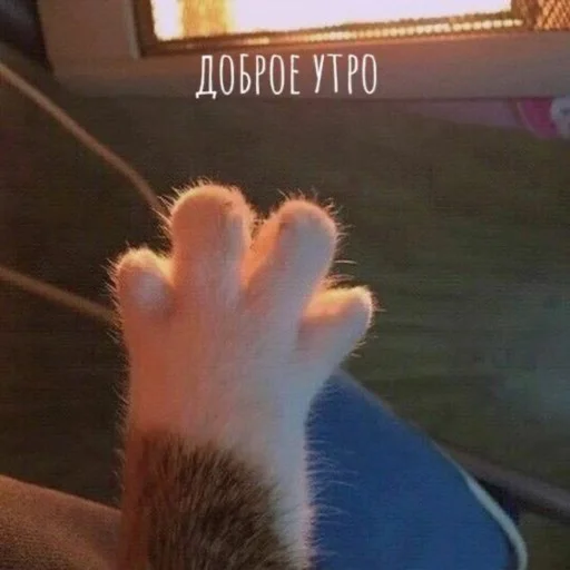 Стикер cuteness_00 - 1