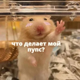 Sticker cuteness - 8