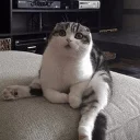 Стикер Cuteness Overload @niallhoraan - 7