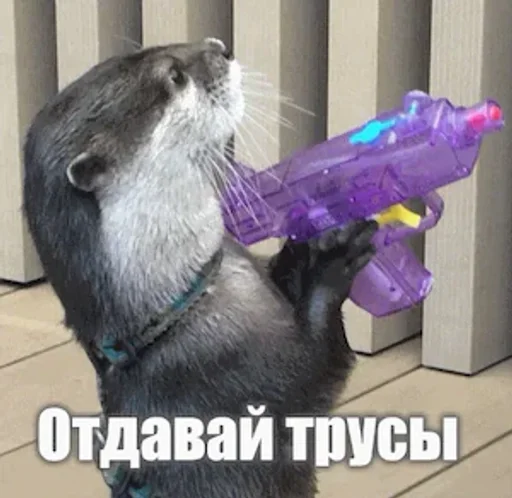 🦦✨ВыДрОчКи ✨🦦 :: @fStikBot - 