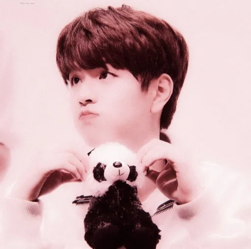 Человек человеческое лицо комнатный