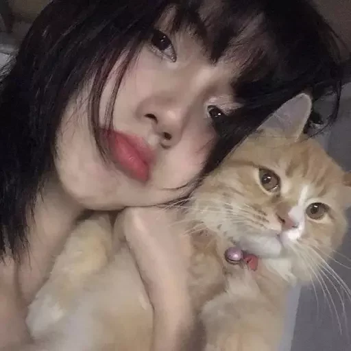 как же я лбблю кореяночек @nkplz - 