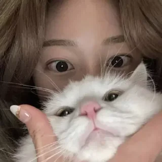 Sticker как же я лбблю кореяночек @nkplz - 5