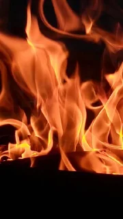 Sticker Абобусик @WemojiBot - 5