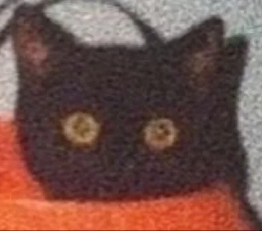 accessory bag luggage and bags