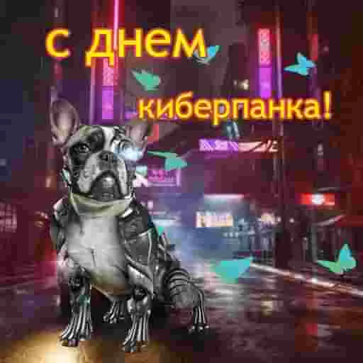 СМС графический дизайн танцевать