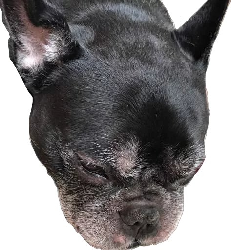 Стикер cyka blyat - 0