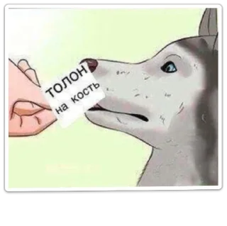 Sticker crashtrash - 5