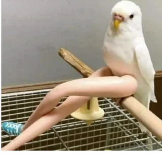 Sticker crashtrash - 3