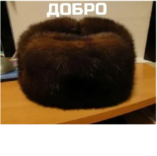 Sticker crashtrash - 4