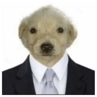 Sticker crashtrash - 9