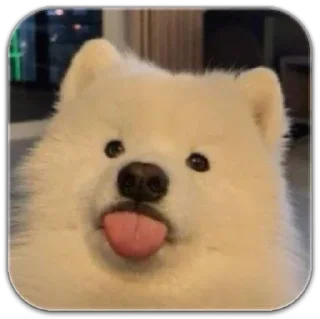 Sticker собака @dilonshy - 8