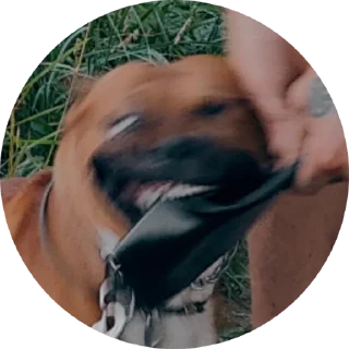 Стикер Локи - 10