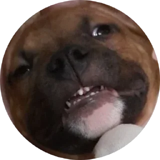 Стикер Локи - 4