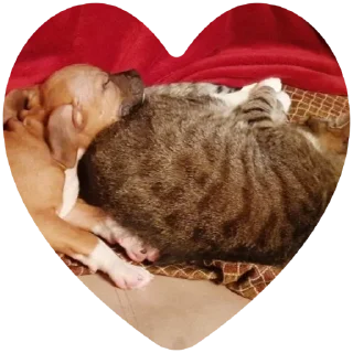 Стикер Локи - 9