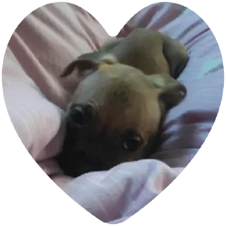 Стикер Локи - 3