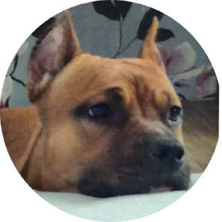 Стикер Локи - 7