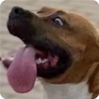 Стикер Локи - 6