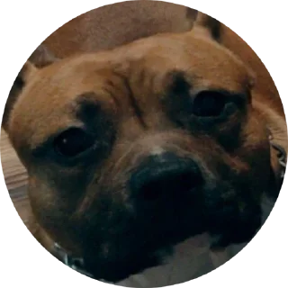 Стикер Локи - 8