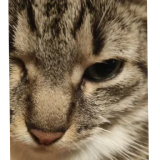 Стикер Локи - 5