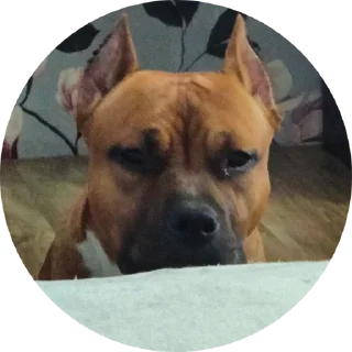 Стикер Локи - 11