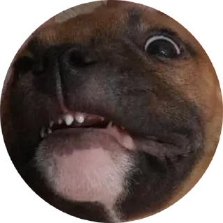 Стикер Локи - 0