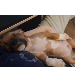 Стикер Локи - 2