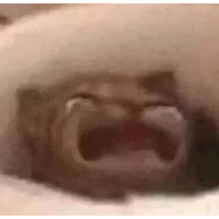 Sticker Смешные животные - 11