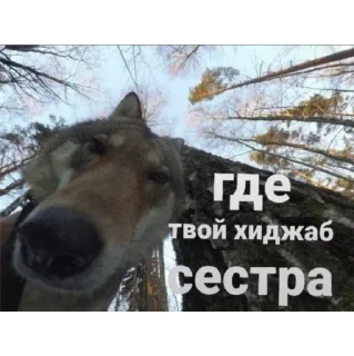 Sticker Яяяяяяя - 2