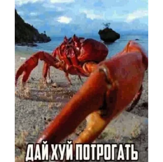 Стикер Сам такой. @l0lstick - 1