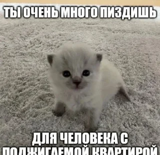 Sticker Создать стикеры|@EmojiRuBot - 7