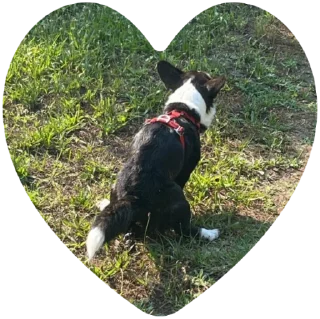 Sticker жопы - 0