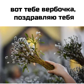 Стикер вв - 0