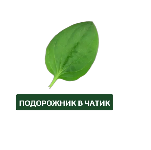 Лечим чат вместе - 